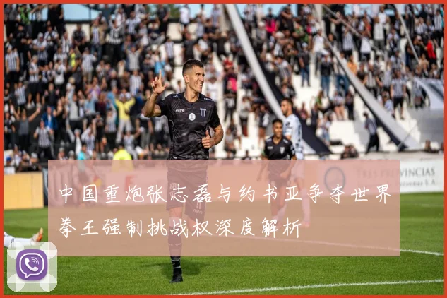 中国重炮张志磊与约书亚争夺世界拳王强制挑战权深度解析