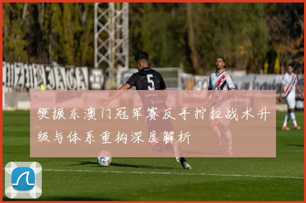 樊振东澳门冠军赛反手拧拉战术升级与体系重构深度解析