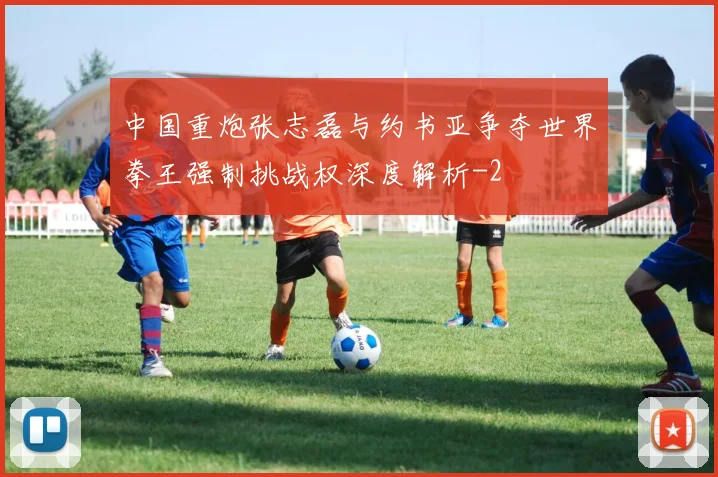 中国重炮张志磊与约书亚争夺世界拳王强制挑战权深度解析