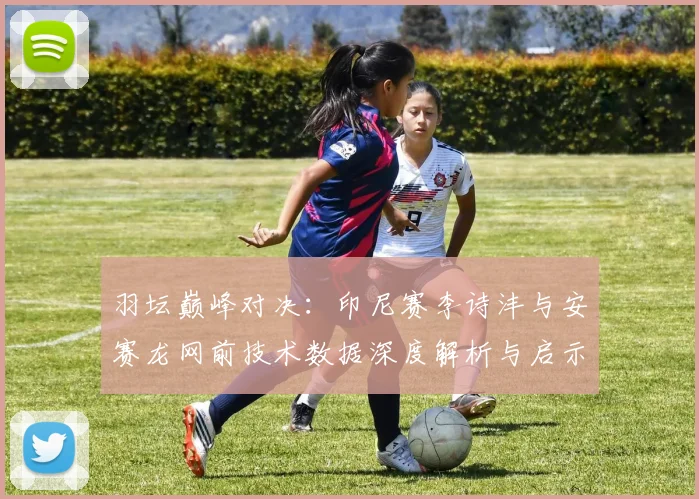 羽坛巅峰对决：印尼赛李诗沣与安赛龙网前技术数据深度解析与启示
