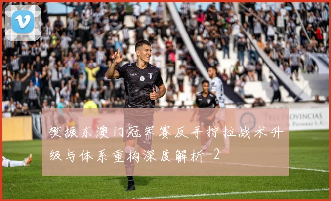 樊振东澳门冠军赛反手拧拉战术升级与体系重构深度解析